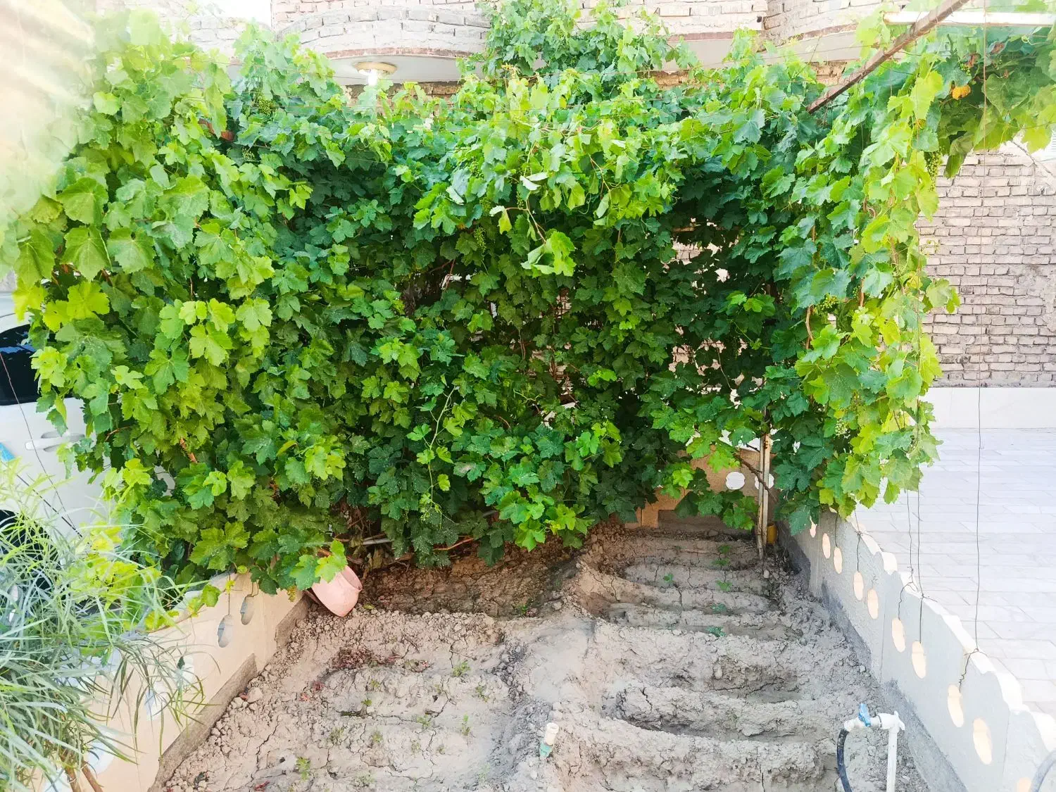 زمین تجاری مسکونی