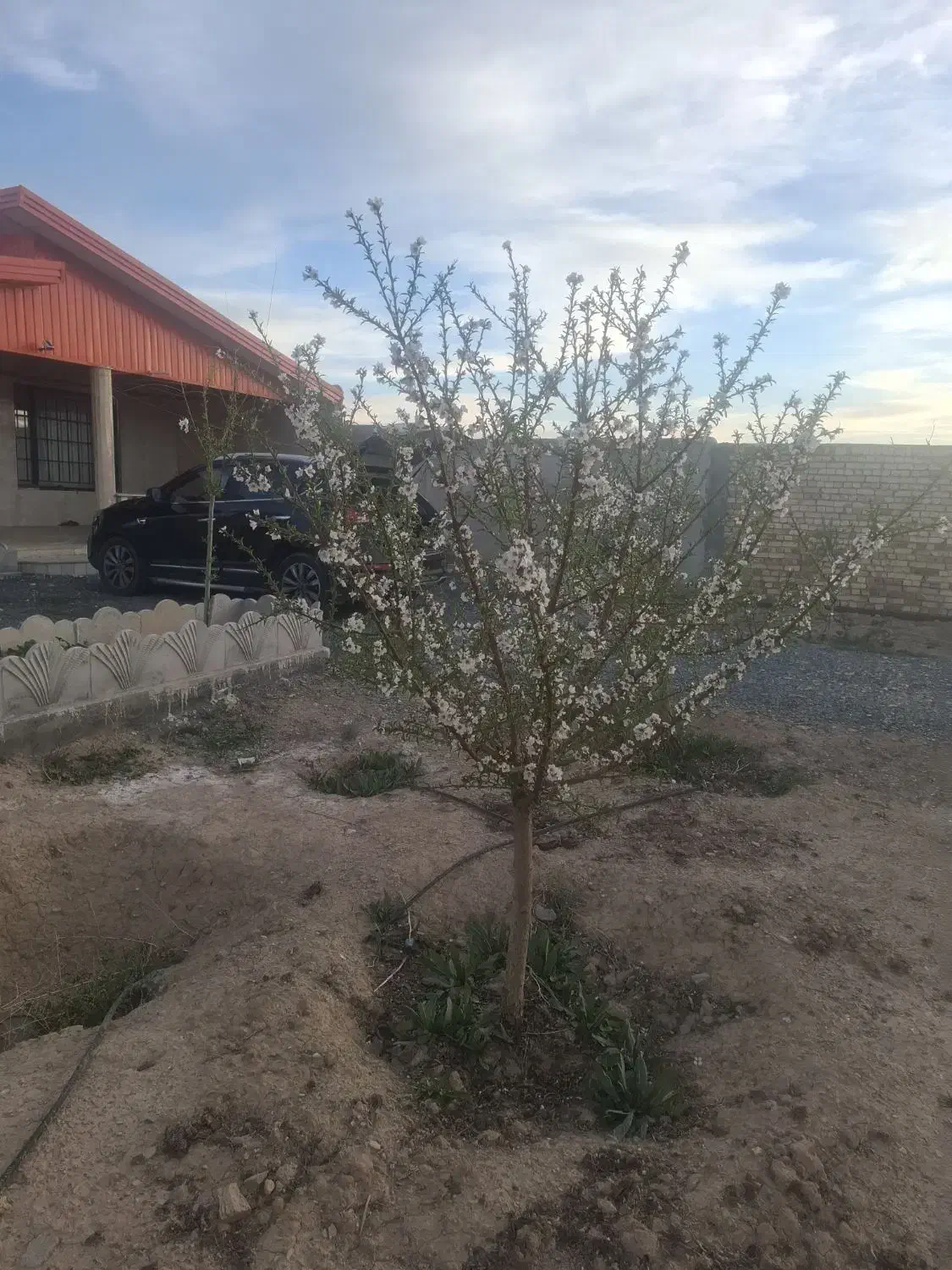 ویلا باغ سوسن آباد