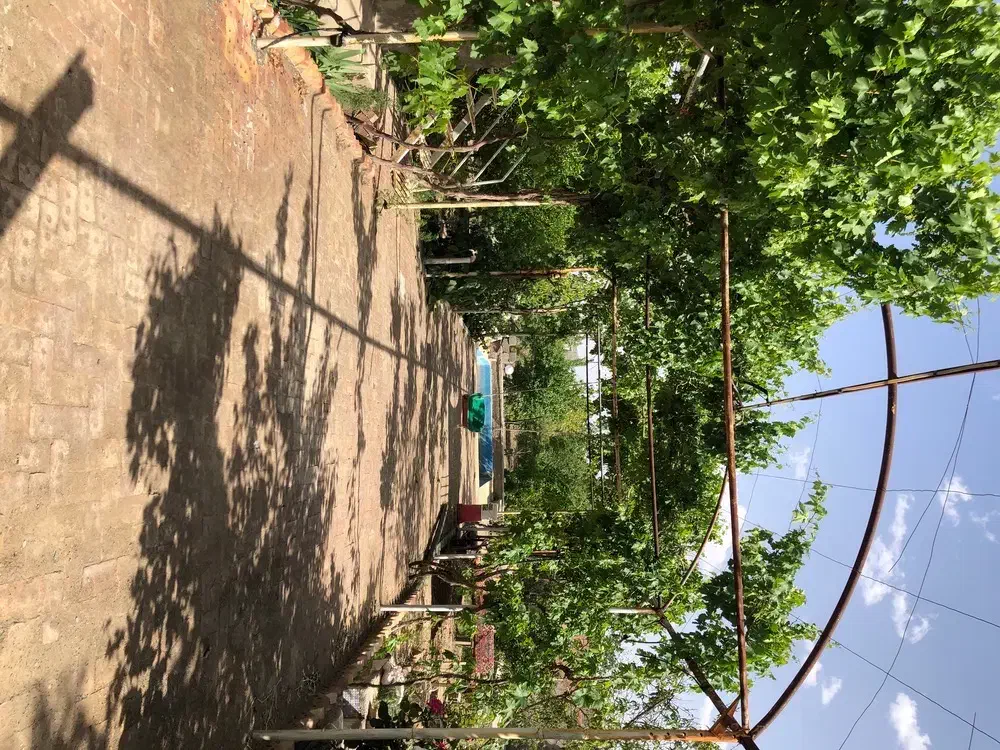 سوییت‌باغ