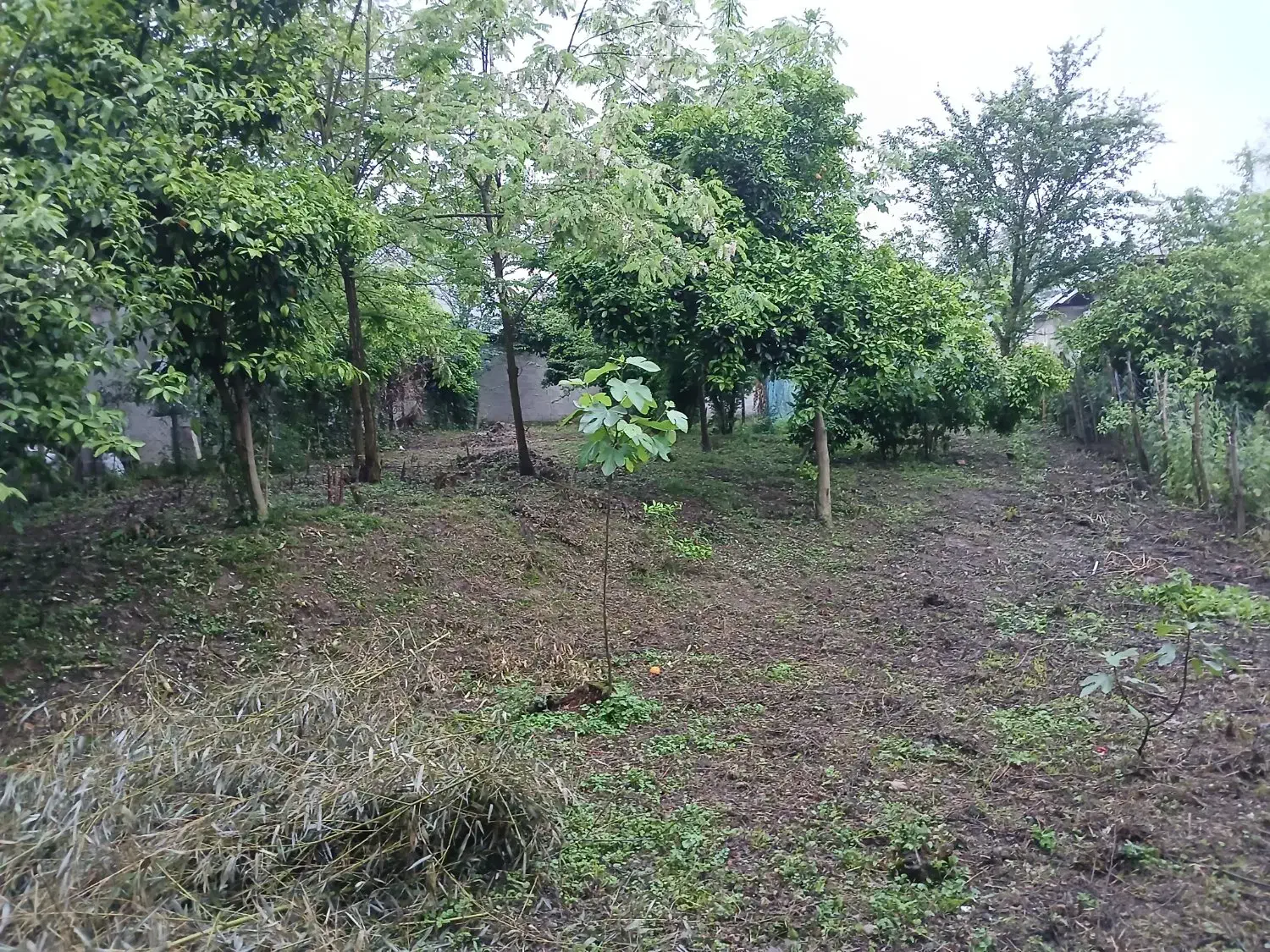 زمینی به متراژ 580متر به فروش میرسد.