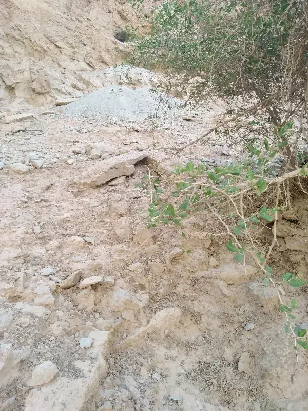 فروش زمین 205متری درشهرک مدنی
