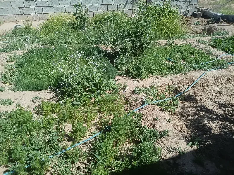 منرل ویلایی دوبر کوچه