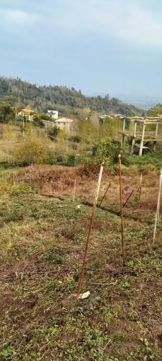 ۴۰۰متر زمین نارنج بن اطاقور