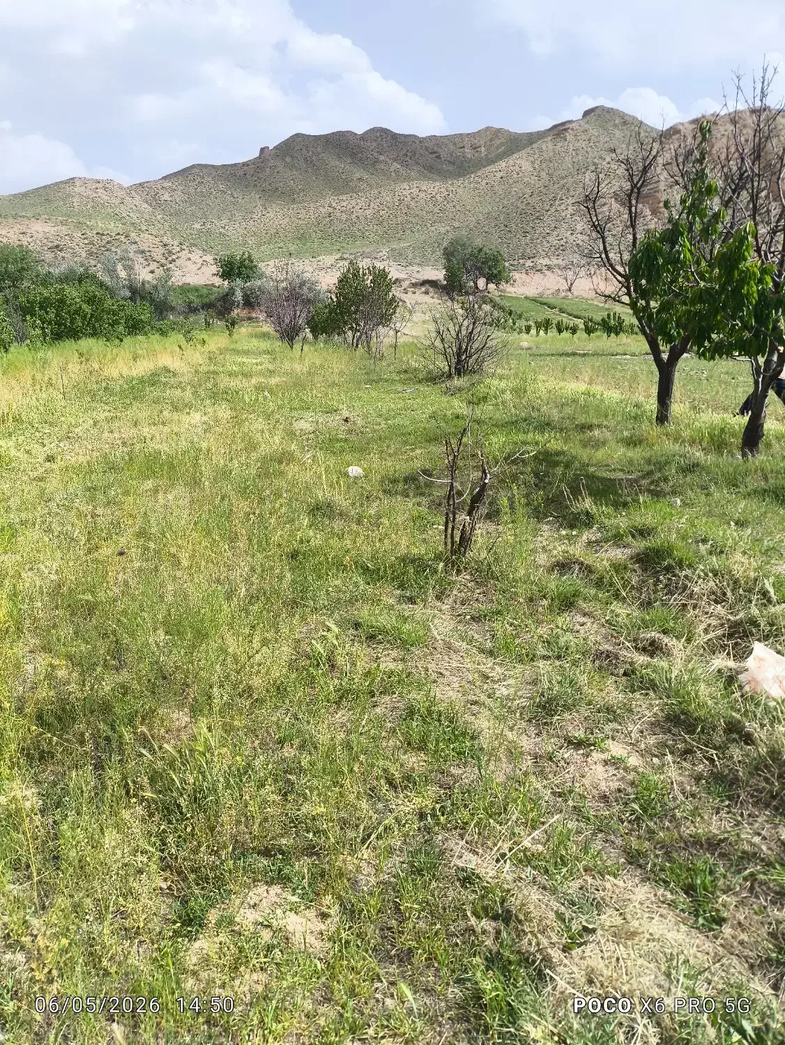 فروش زمین غذاقی
