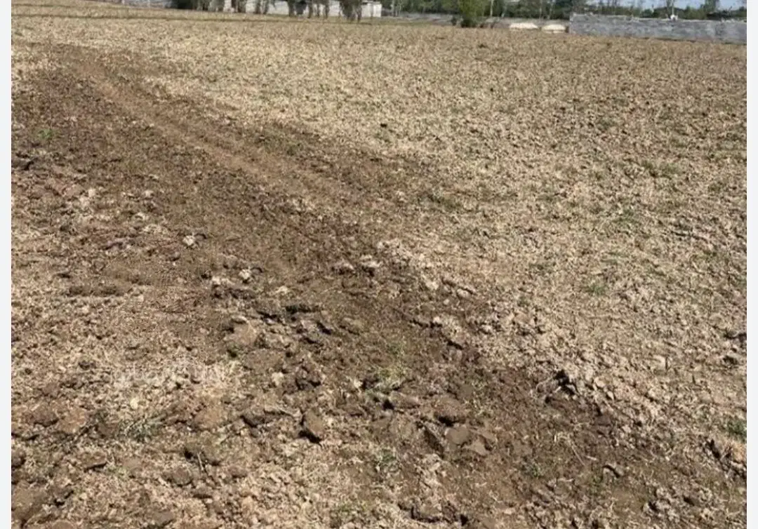 سلام وقت بخیر زمین زراعی واقع در کریم آباد کنگاور