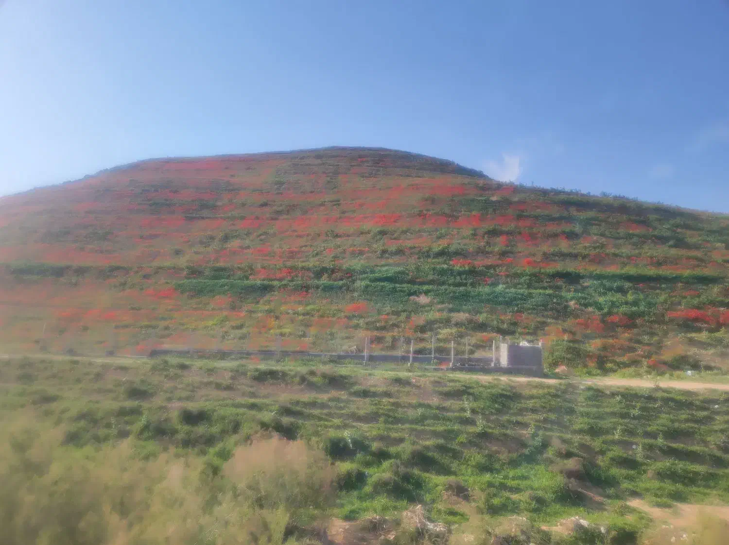زمین فروشی