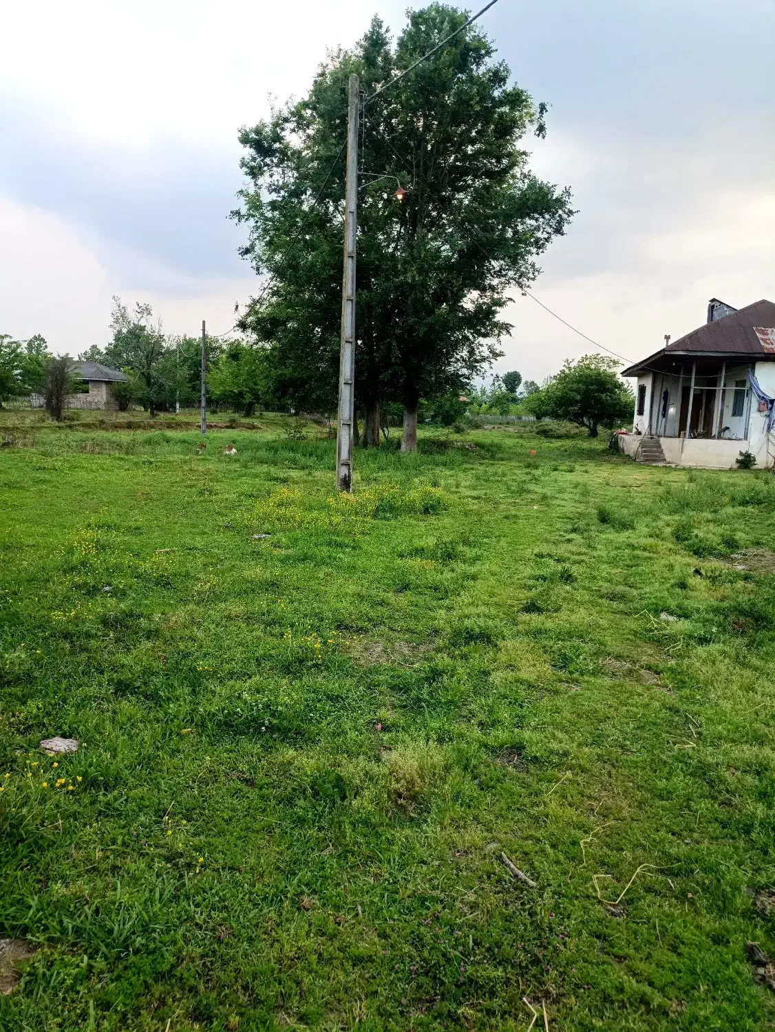 زمین مسکونی فومن