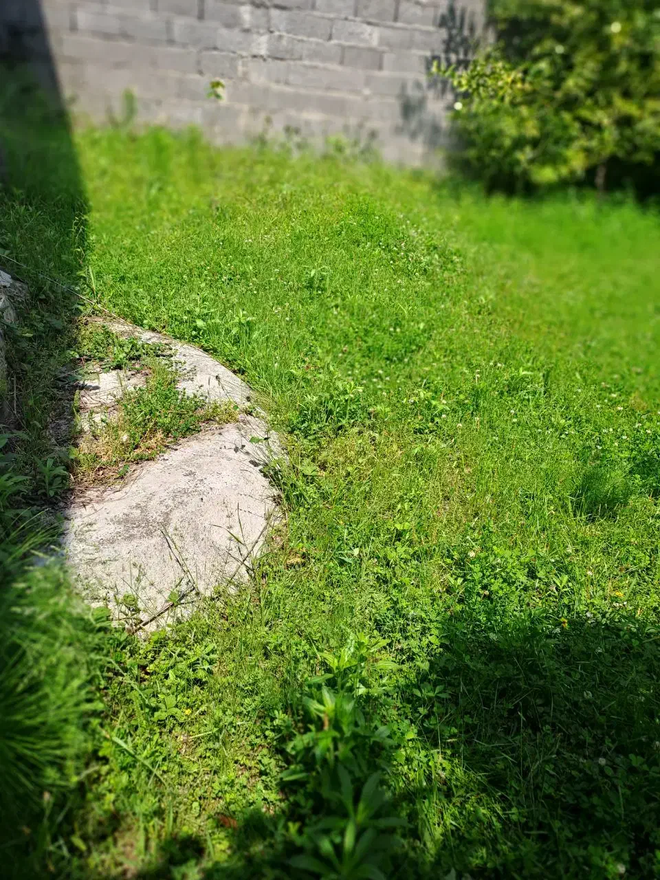 زمین ۵۰۰ متری مسکونی باغی .نامه بنیاد،آماده پروانه