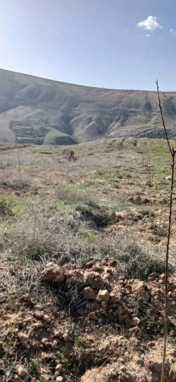 فروش باغ روستای قره نوده انتهای کوچه باغ شقایق