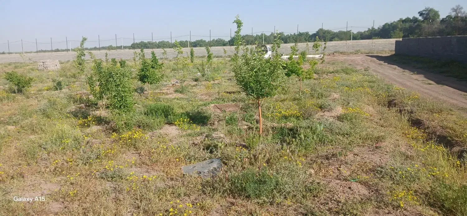 ۴۰غصب زمین خانه باغی