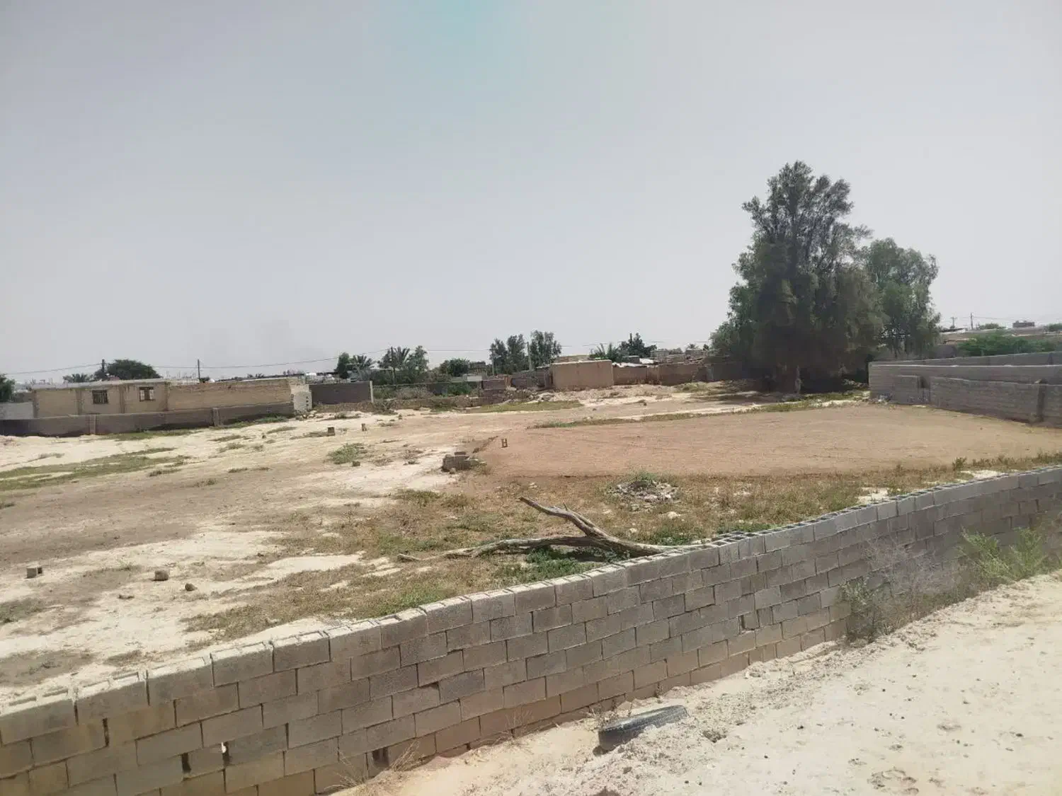 زمین مسکونی دهملا بزرگ