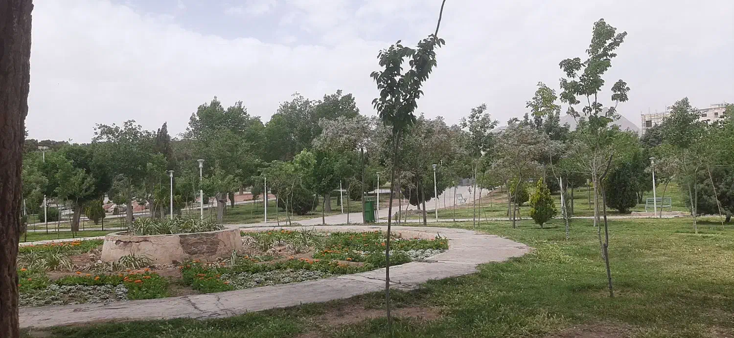 همخونه