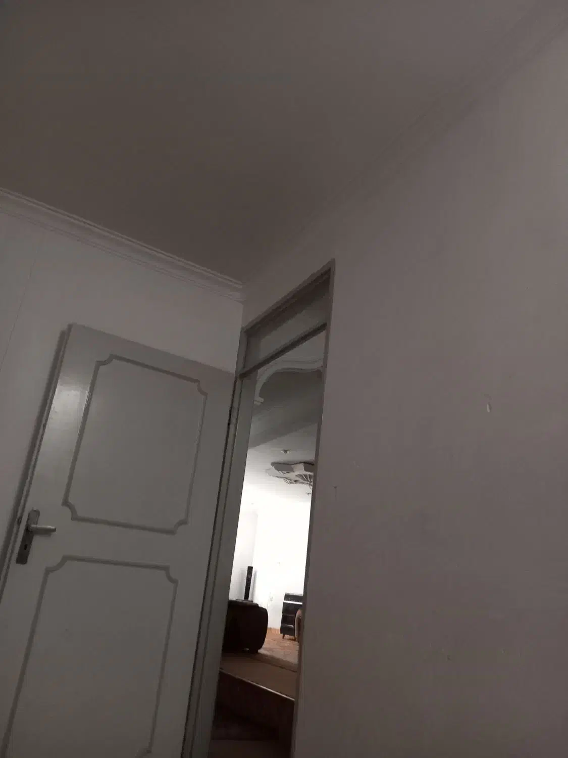 همخانه