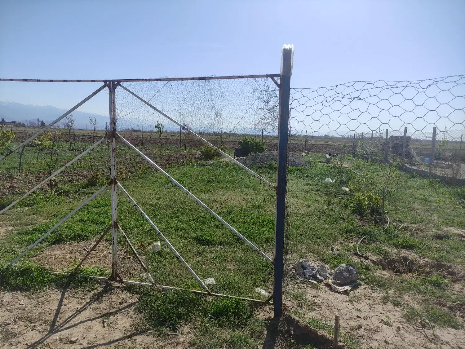 باغوباغچه