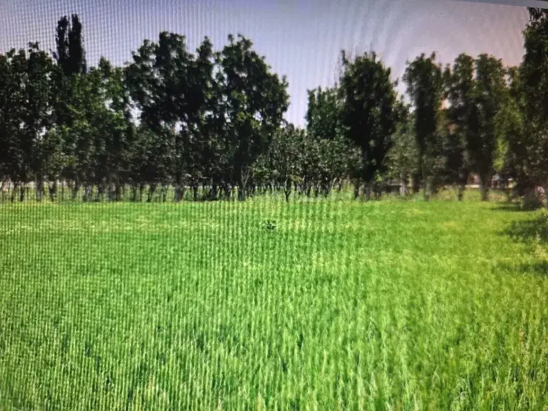 اجاره خانه روستایی فلاورجان اسفهران