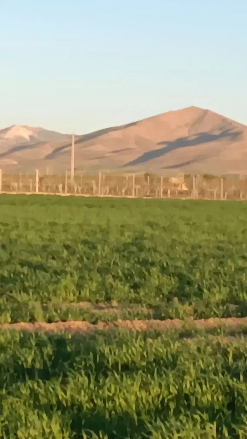 زمین برای باغی شهرک المهدی