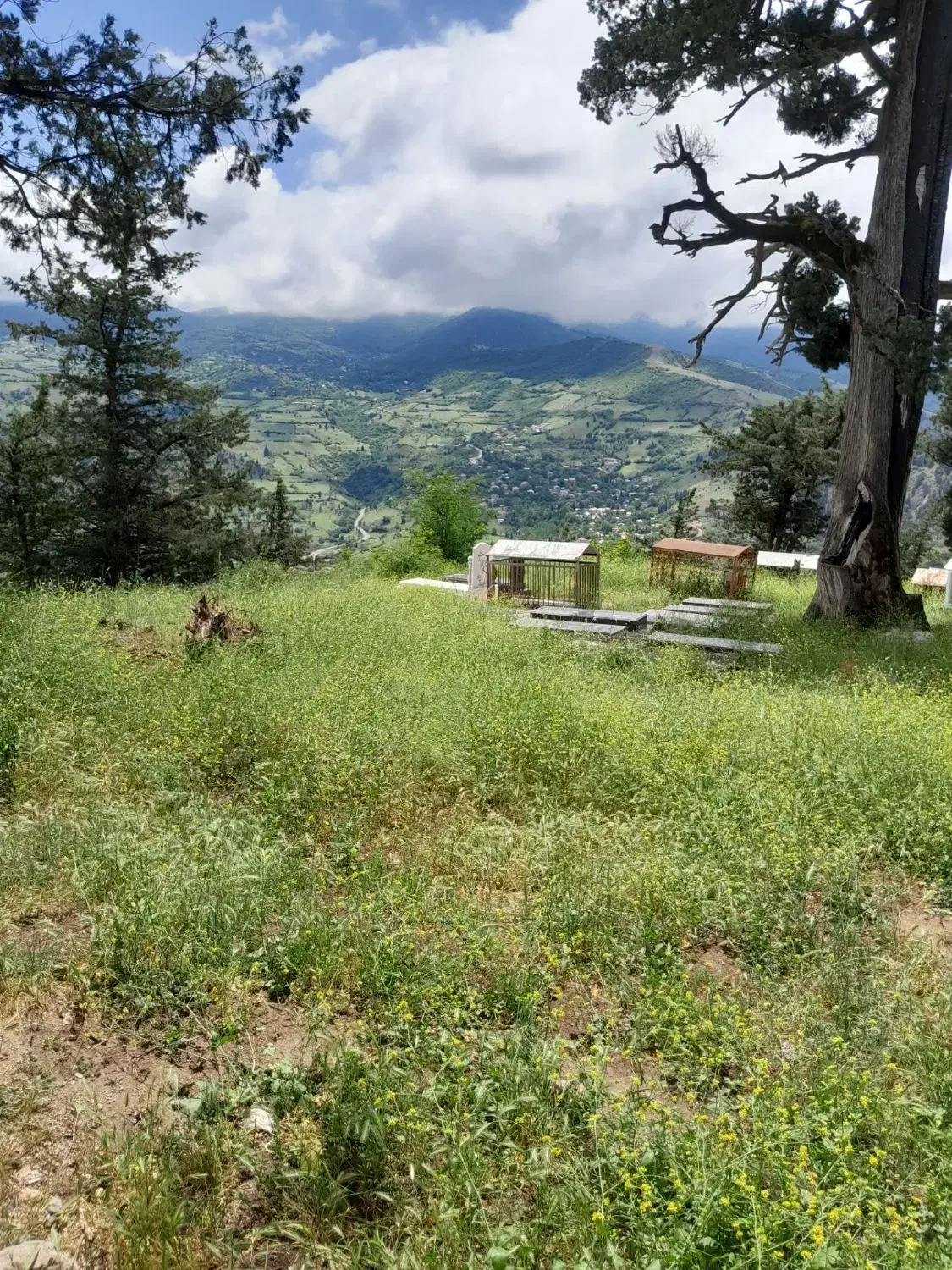 فروش زمین هایی در روستای پشتهان کشاورزی و مسکونی