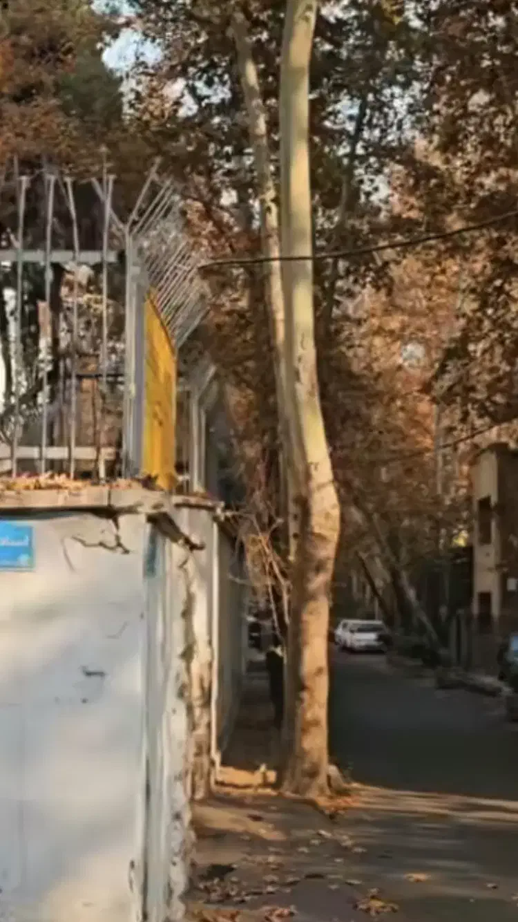 ۴۰۰۰ متر کلنگی‌ در بهترین فرعی محمودیه  ابعاد عالی