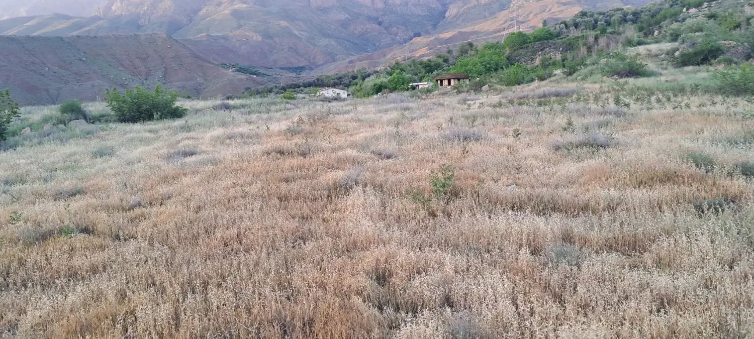 ‌زمین روستای برند