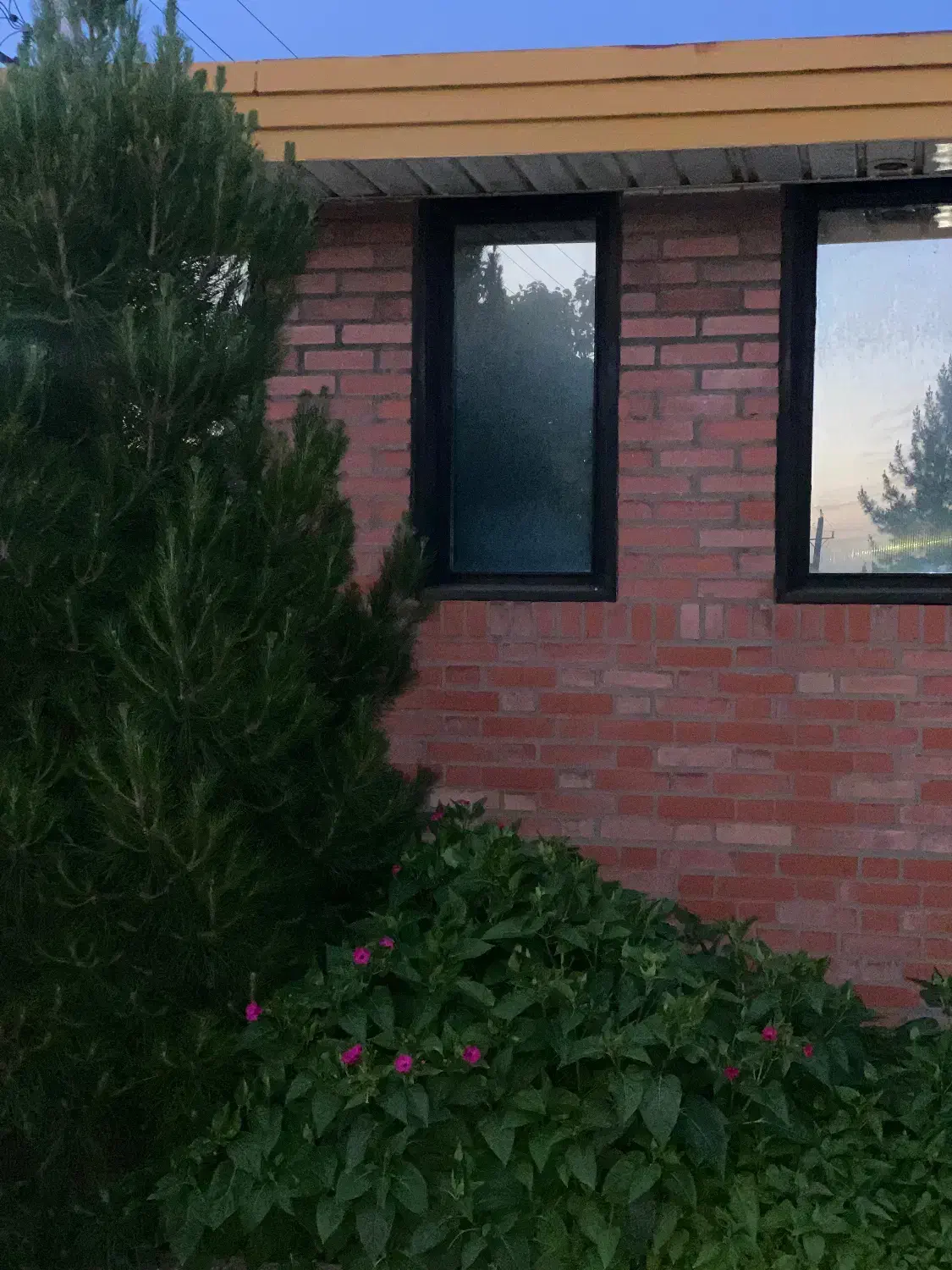 کارخانه فعال با امکانات کامل فروشی
