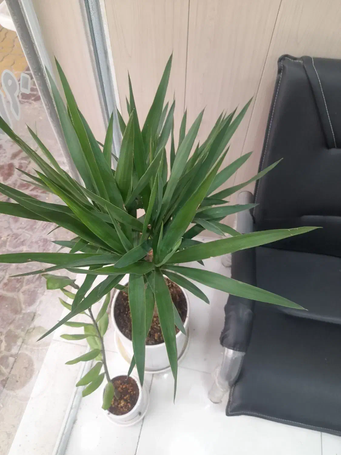 اجاره سوئیت  * فول *  مستقل