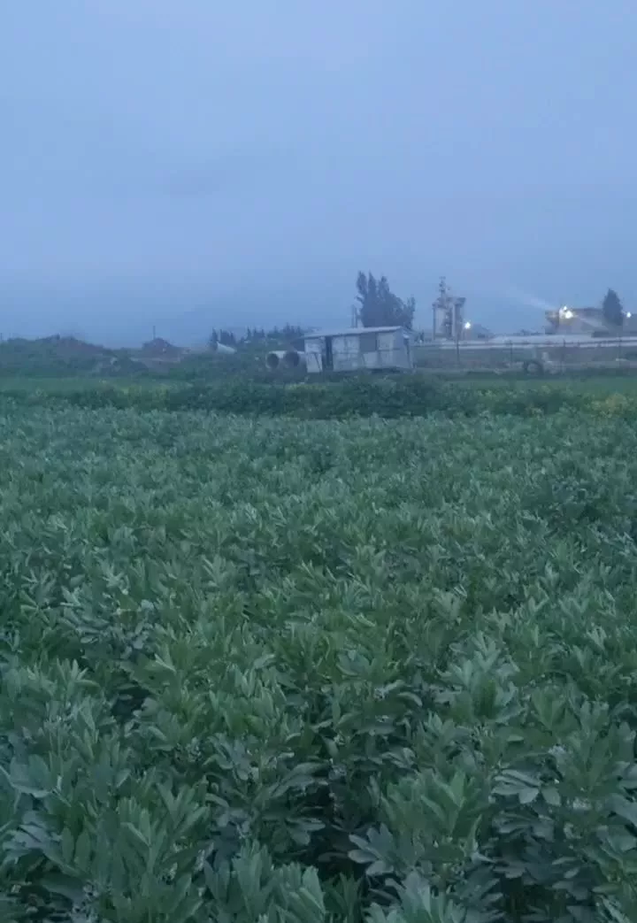 زمین برخط توسکستان