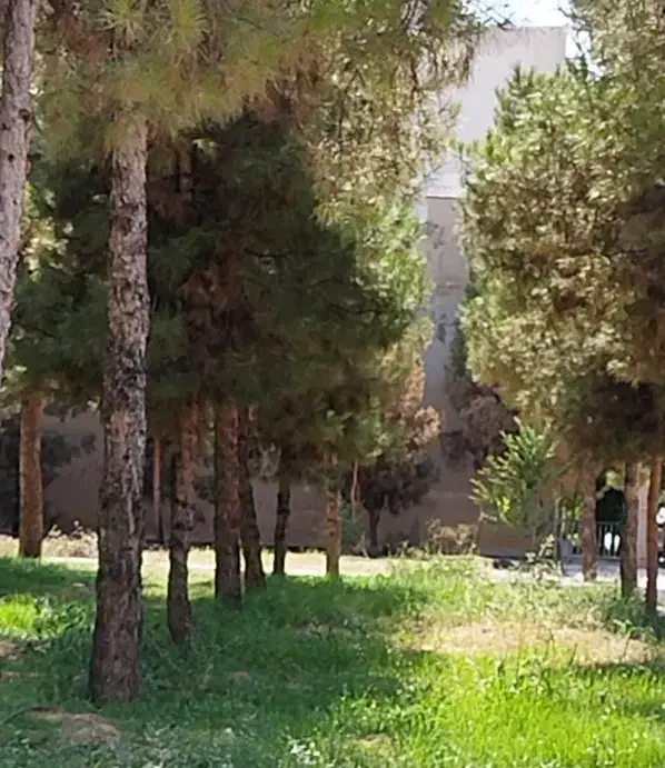 رهن و اجاره منزل ویلایی ۴خواب دربست اداری