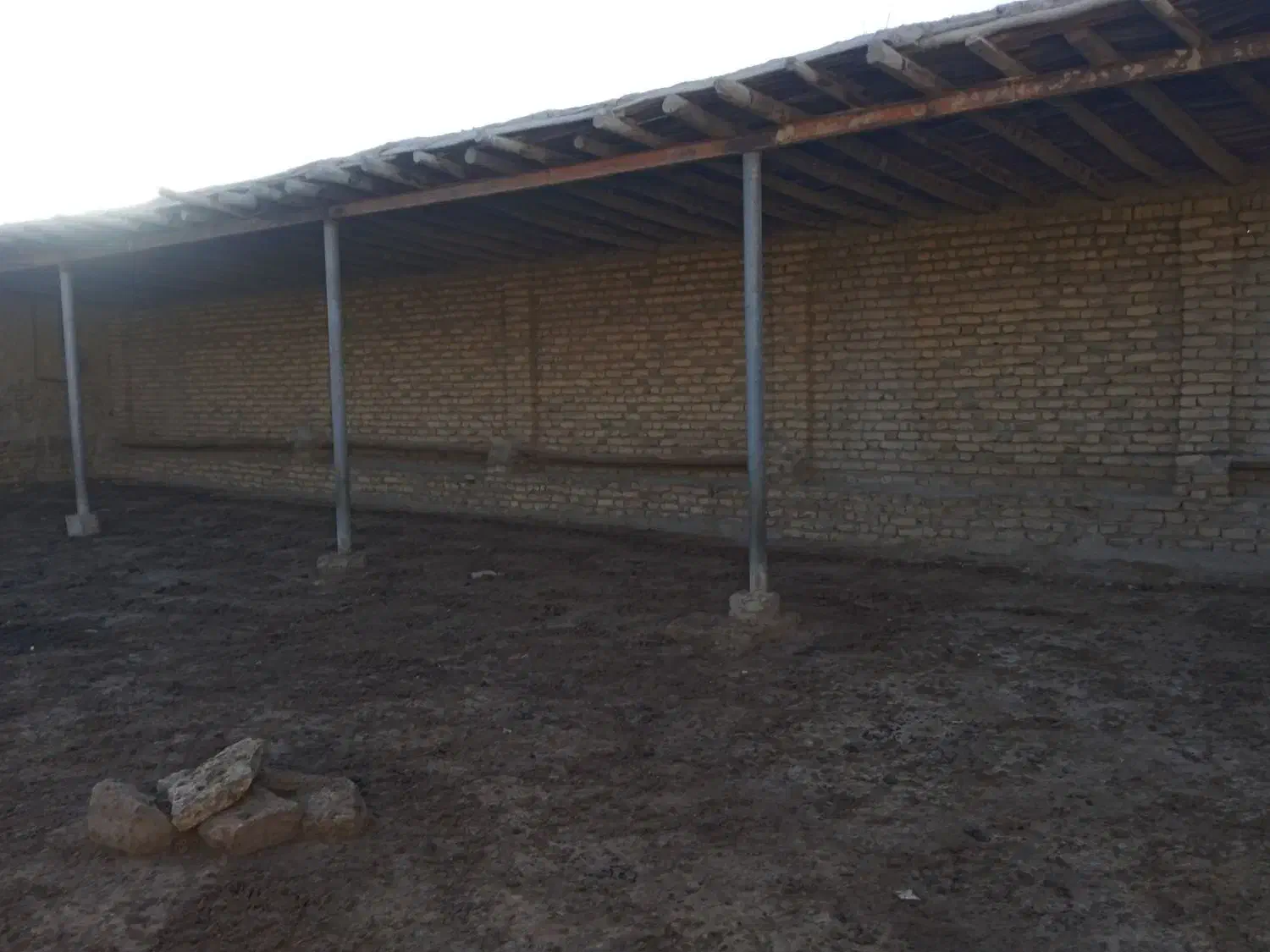دامداری گوسفند