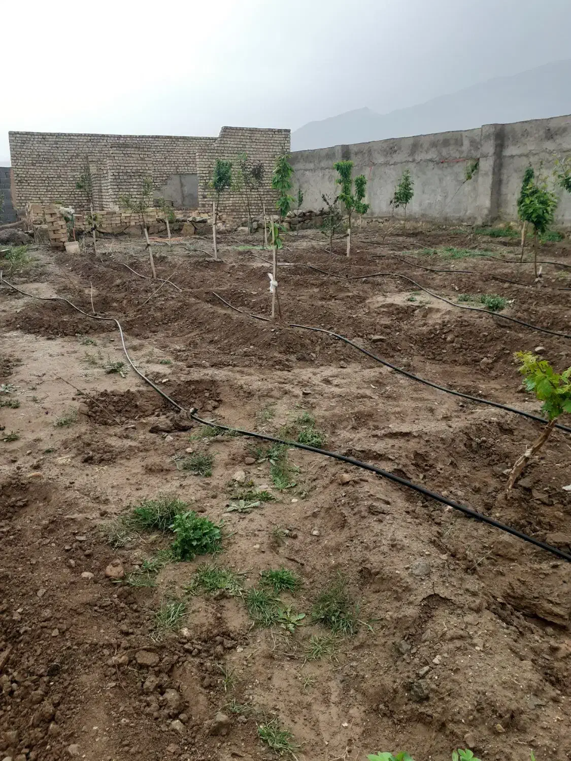 زمین روستای دنج ایزی