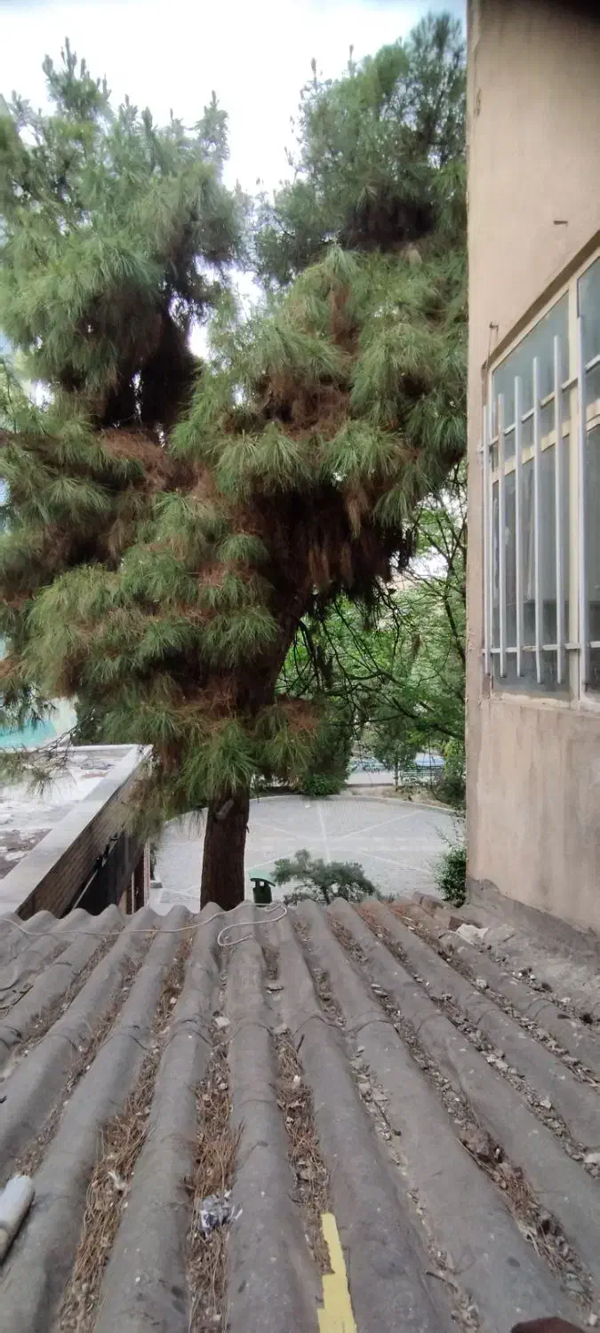 ۱۱۲ متر کلنگی هفت چنار امیرقلی