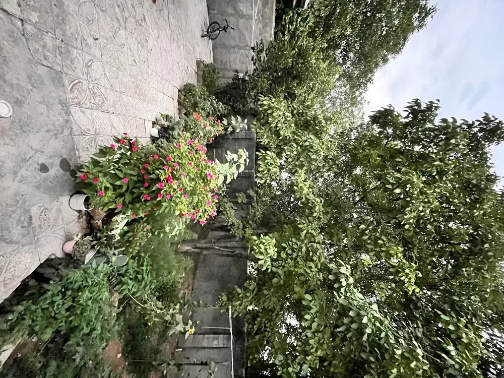 اجاره مسکونی