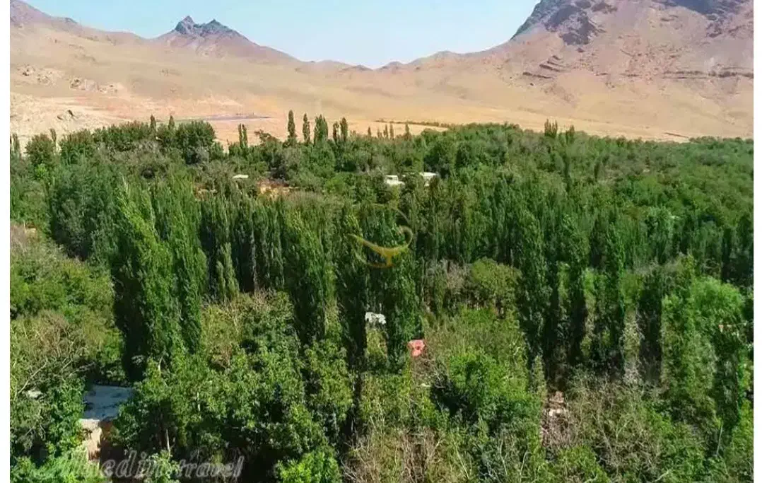 زمین در روستای مرق شهر کاشان