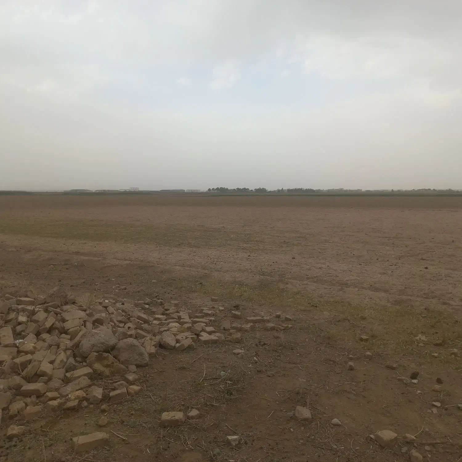 زمین