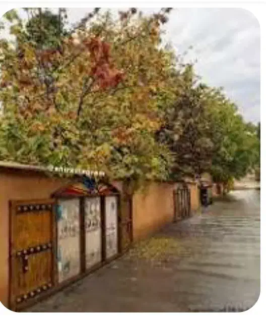 فروش باغ قصردشت 5_000 متر سن شش دانگ