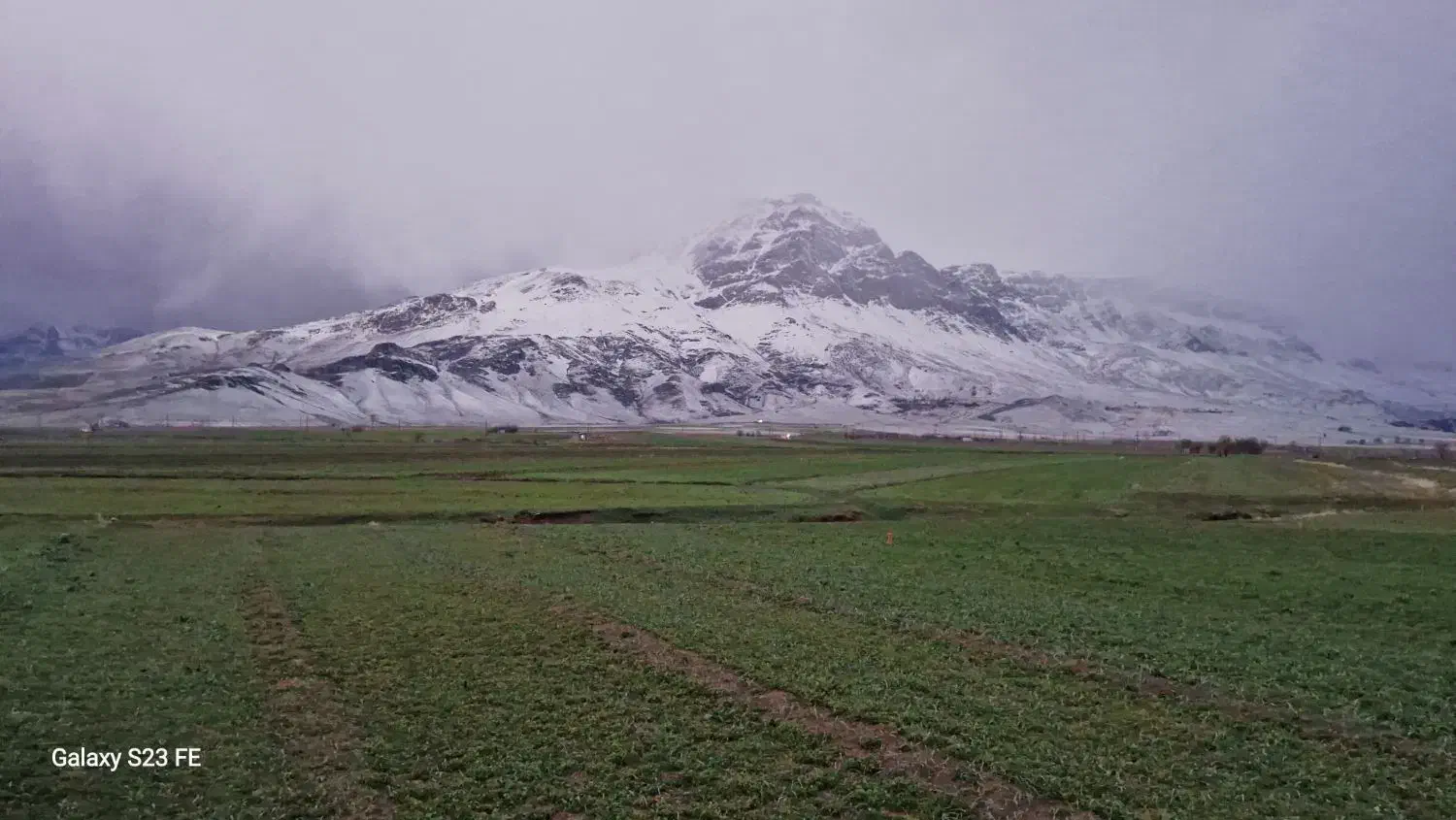 زمین کشاورزی آبی