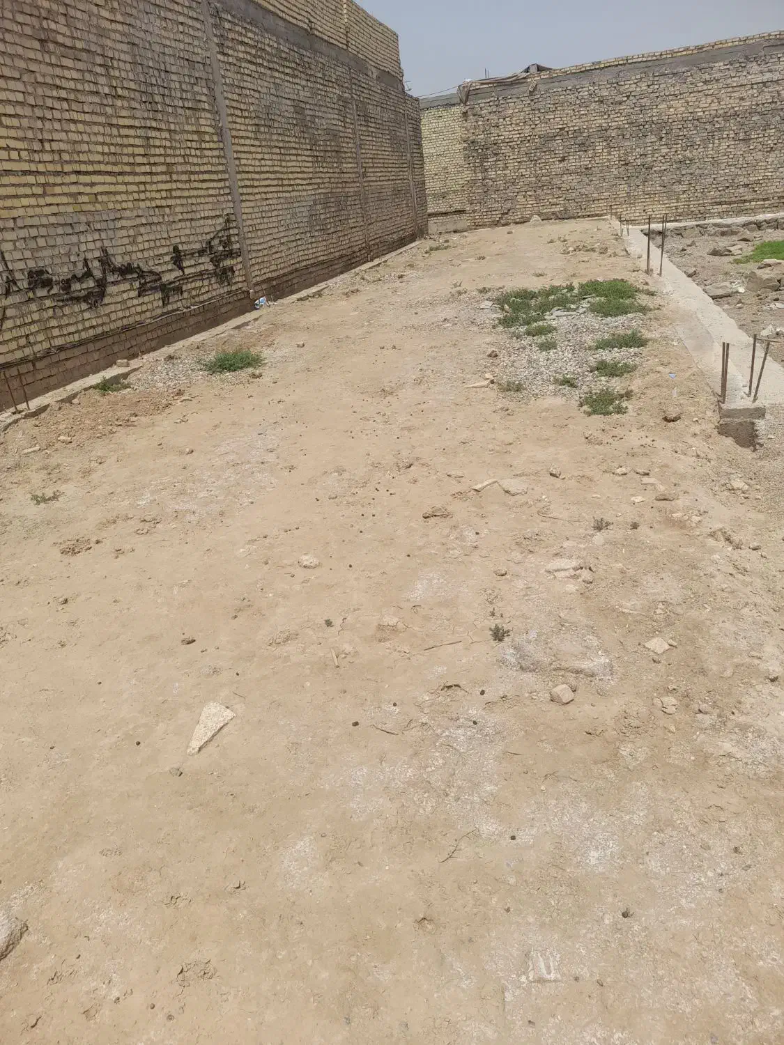 فروش زمین در شیبان