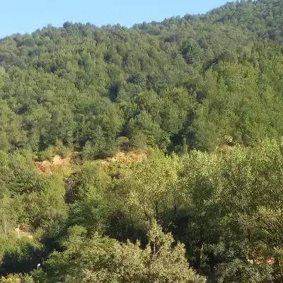 زمین کلبه هنر معاوضه