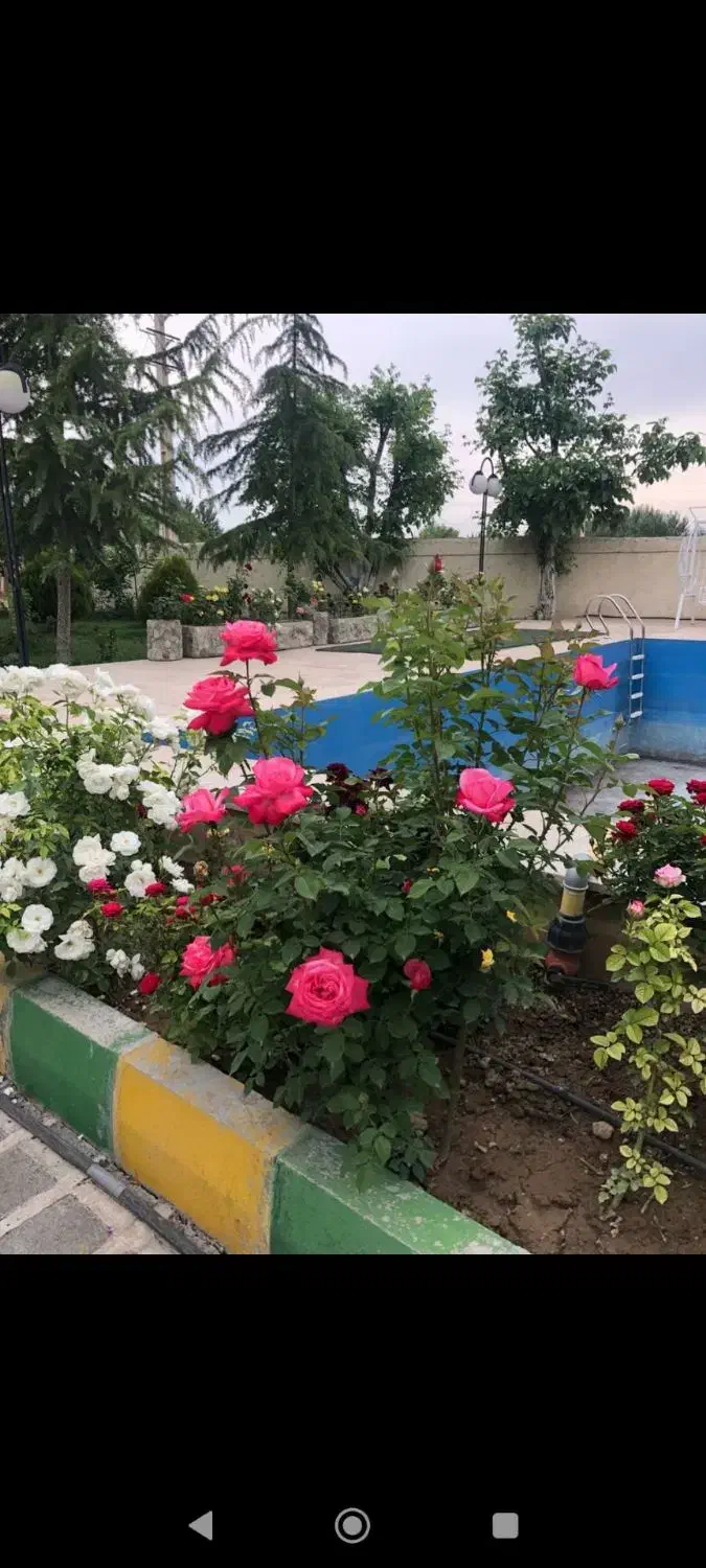 باغ ویلا ۱۲۳۵۰ متر صنعتی کشاورزی تفریحی