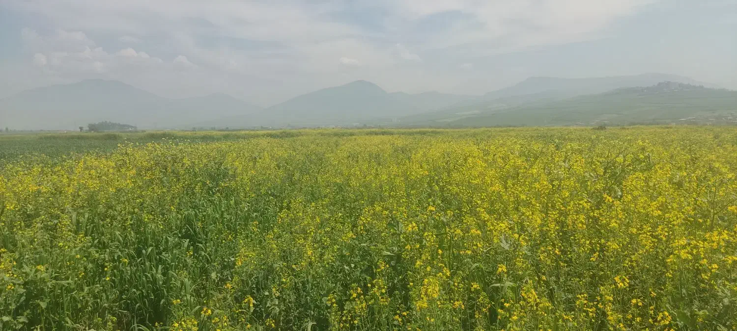 اجاره زمین کشاورزی