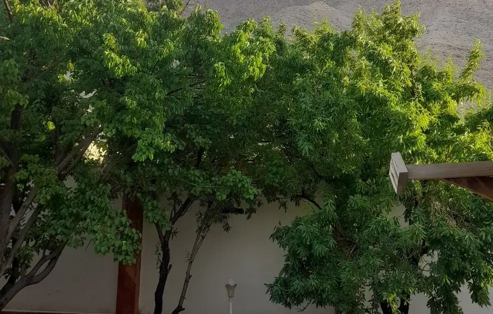 فروش زمین چهار دیواری باچاه و سند قطعی محضری