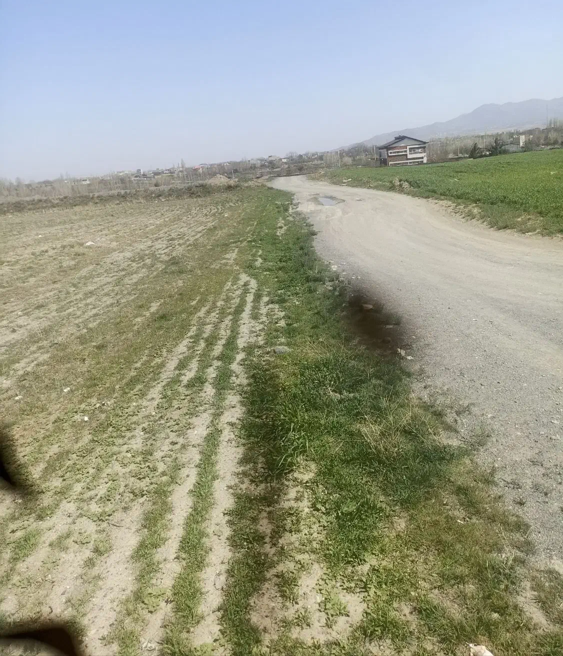 زمین زراعی و باغی
