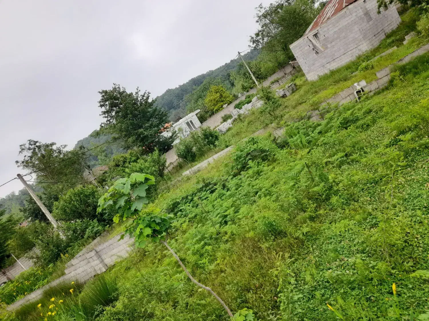 ۵۵۰متر زمین مسکونی بر خیابان