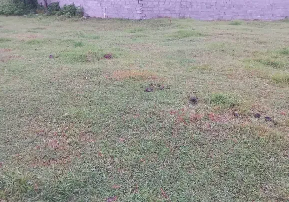 ۳۰۰مترخونه محوطه نیمه کاره
