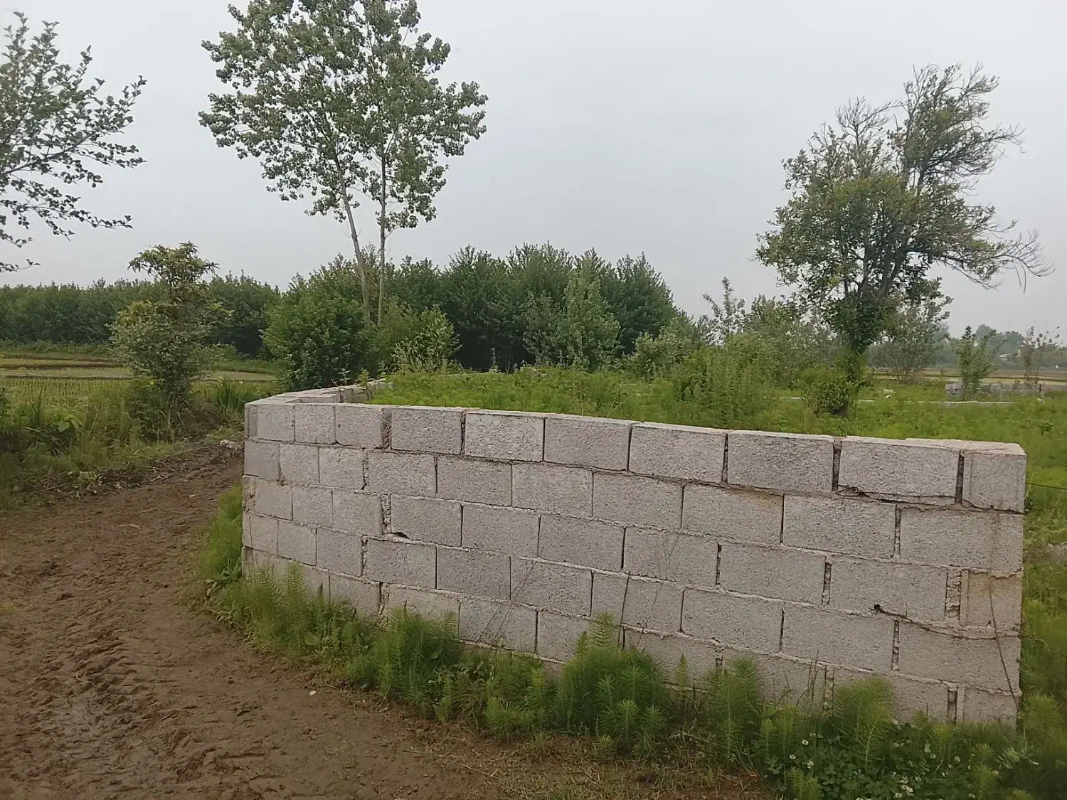 ۲۰۰ متر زمین با ۹۹ متر پروانه ساخت ۱_۳۵۰_۰۰۰_۰۰۰ ت