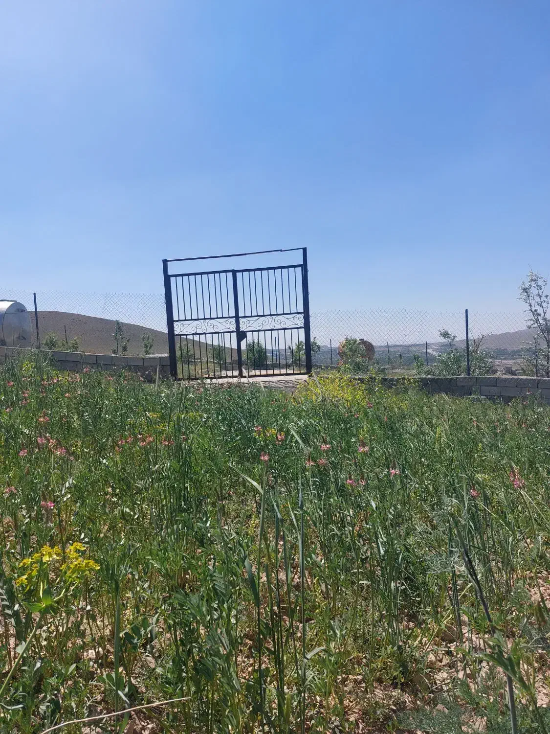 باغ نقلی سعیدآباد