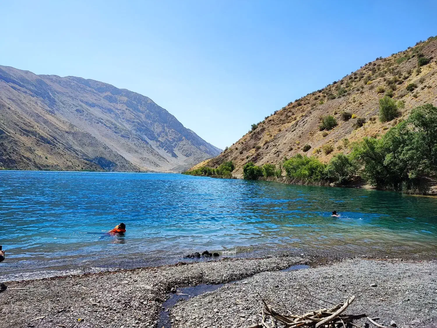 باغ 10ساله طرح هادی