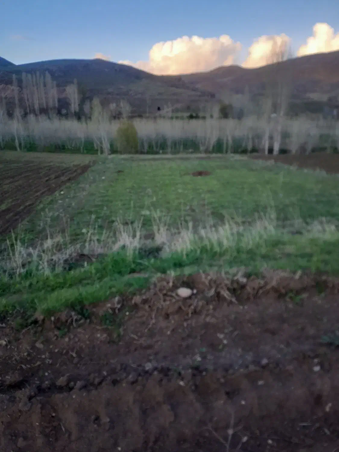 زمین کشاورز