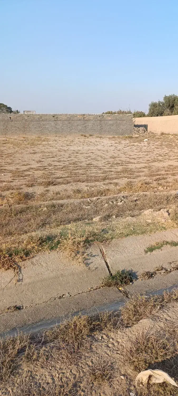 زمین باغی سند دار