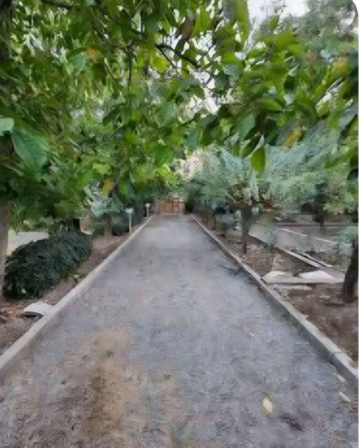 زمین رامسر