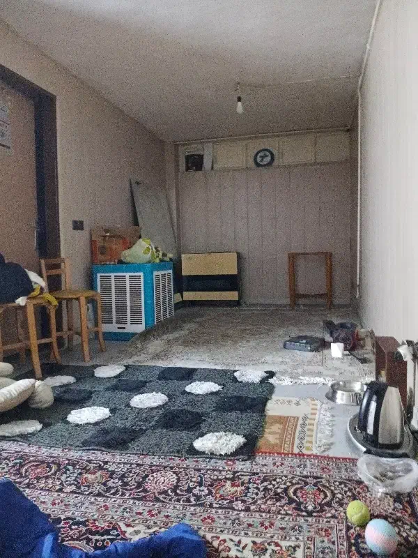 همخانه